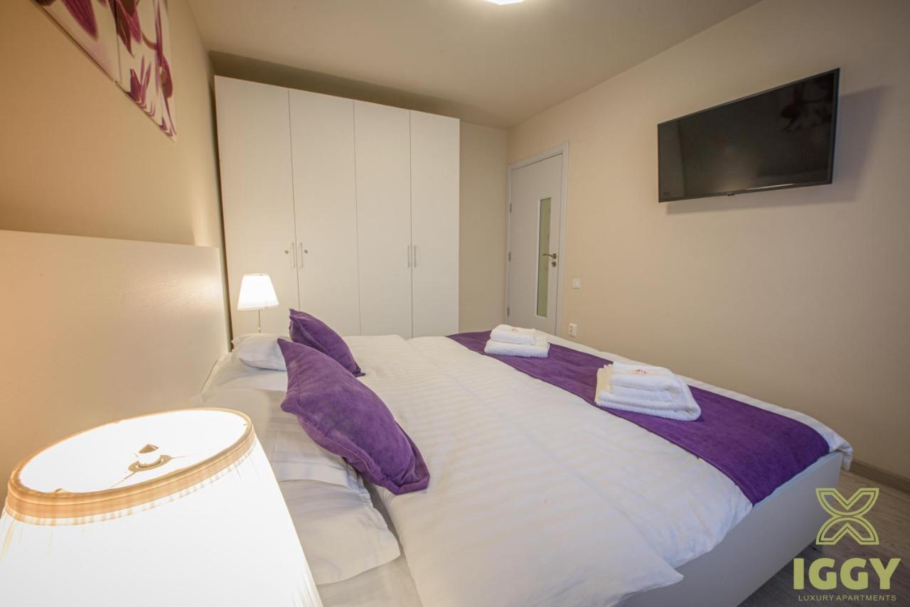Iggy Luxury Apartment Hunedoara Eksteriør bilde