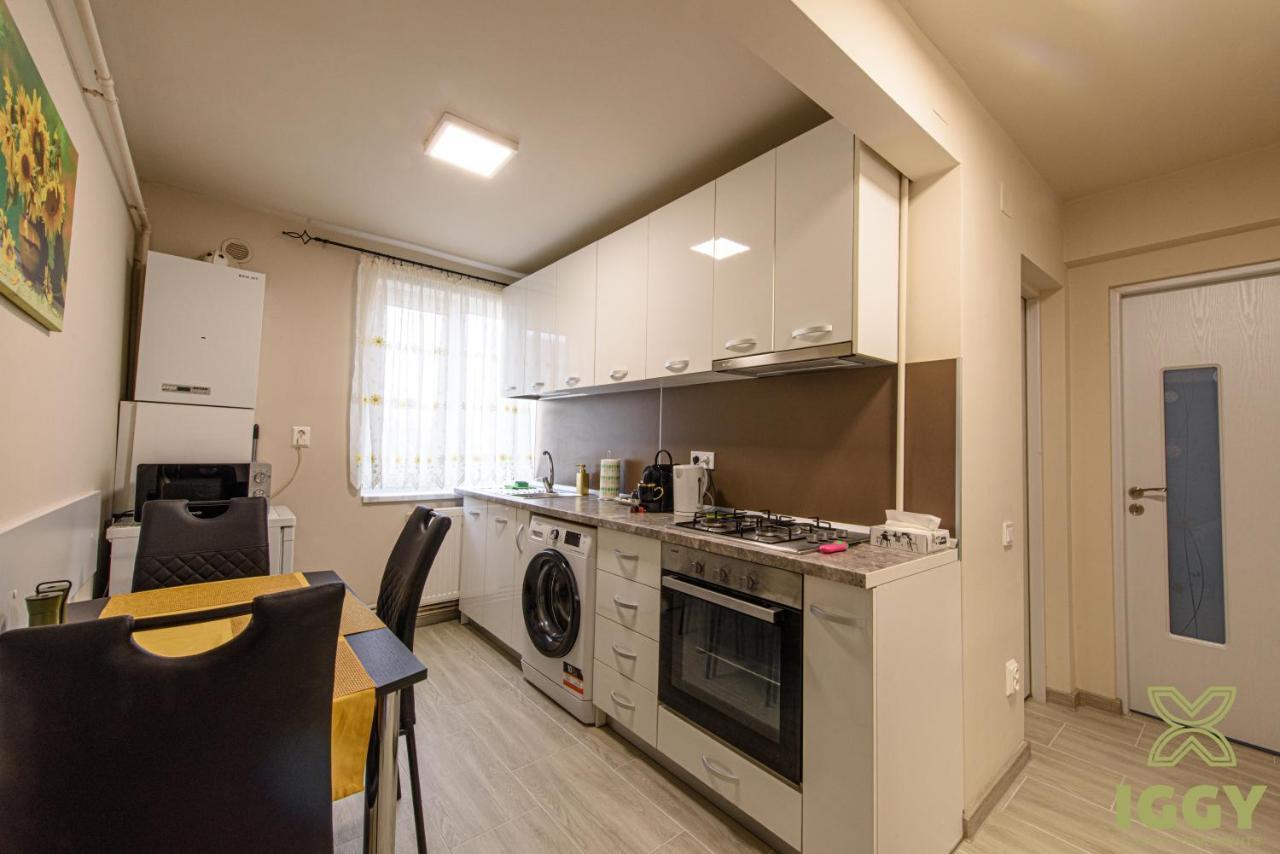 Iggy Luxury Apartment Hunedoara Eksteriør bilde